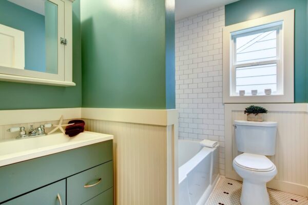 PointVertex Bathroom Remodeling Project